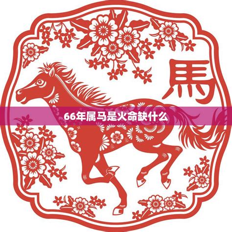 马的五行|生肖属马人五行分析，金马、木马，水马，火马，土马分析